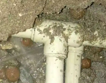 东平测漏水多少钱