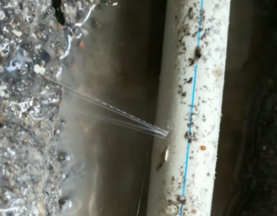 东平测漏水哪家好