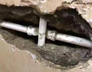 东平测漏水哪家好