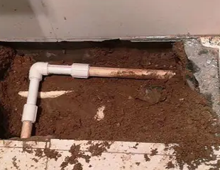 东平测漏水哪家好