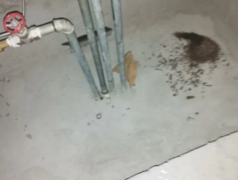 东平卫生间测漏水价格明细